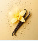 Native Diet Protein Blend 1kg